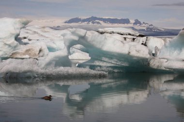 İzlanda 'da buzul gölü. İzlanda turistik merkezleri. Kutup buzulu. Okyanus buzulu