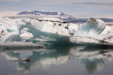 İzlanda 'da buzul gölü. İzlanda turistik merkezleri. Kutup buzulu. Okyanus buzulu