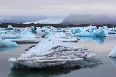 İzlanda 'da buzul gölü. İzlanda turistik merkezleri. Kutup buzulu. Okyanus buzulu