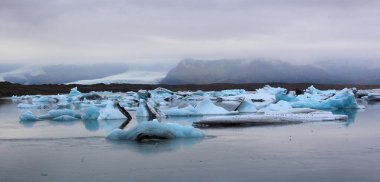 İzlanda 'da buzul gölü. İzlanda turistik merkezleri. Kutup buzulu. Okyanus buzulu