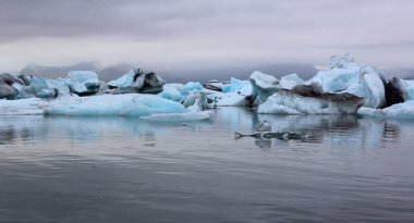 İzlanda 'da buzul gölü. İzlanda turistik merkezleri. Kutup buzulu. Okyanus buzulu