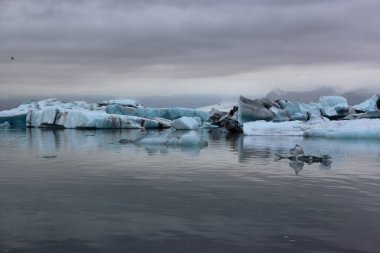 İzlanda 'da buzul gölü. İzlanda turistik merkezleri. Kutup buzulu. Okyanus buzulu