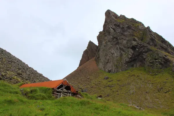 アイスランドの緑の牧草地の古い家 — ストック写真