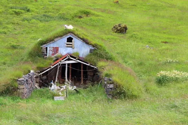 冰岛传统的有草屋顶的冰岛房子 — 图库照片
