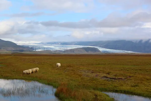 Widok Dzienny Malowniczej Przyrody Lodowiec Breidamerkurjokull Islandia — Zdjęcie stockowe