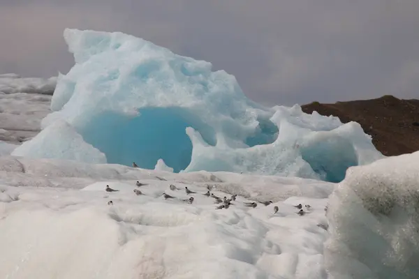 Laguna Glaciale Islanda Islanda Attrazioni Turistiche Ghiacciaio Artico Ghiacciaio Oceanico — Foto Stock