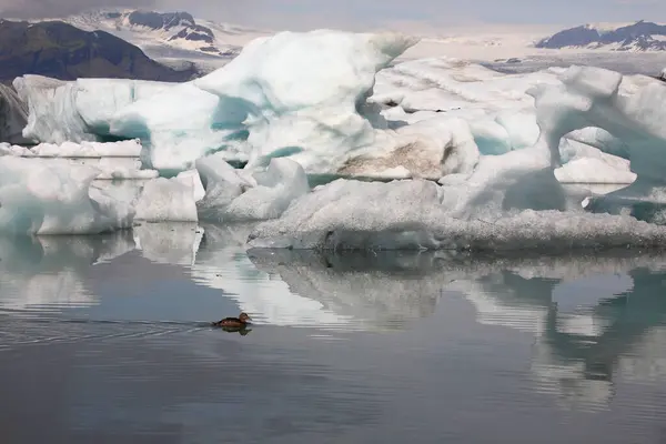 Lagoa Glacial Islândia Islândia Atracções Turísticas Geleira Ártica Geleira Oceânica — Fotografia de Stock