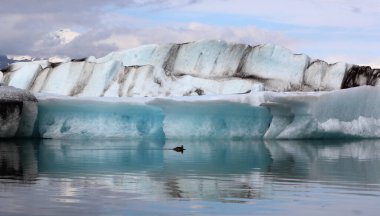 İzlanda 'da buzul gölü. İzlanda turistik merkezleri. Kutup buzulu. Okyanus buzulu
