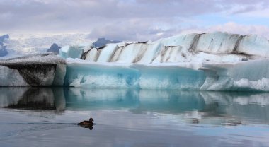 İzlanda 'da buzul gölü. İzlanda turistik merkezleri. Kutup buzulu. Okyanus buzulu