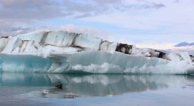 İzlanda 'da buzul gölü. İzlanda turistik merkezleri. Kutup buzulu. Okyanus buzulu