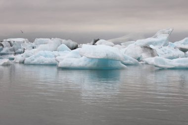 İzlanda 'da buzul gölü. İzlanda turistik merkezleri. Kutup buzulu. Okyanus buzulu