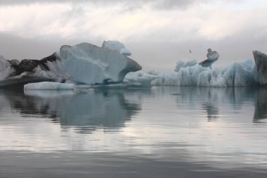 İzlanda 'da buzul gölü. İzlanda turistik merkezleri. Kutup buzulu. Okyanus buzulu