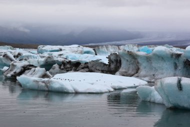 İzlanda 'da buzul gölü. İzlanda turistik merkezleri. Kutup buzulu. Okyanus buzulu