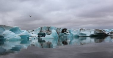 İzlanda 'da buzul gölü. İzlanda turistik merkezleri. Kutup buzulu. Okyanus buzulu