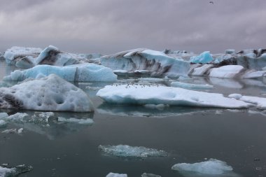 İzlanda 'da buzul gölü. İzlanda turistik merkezleri. Kutup buzulu. Okyanus buzulu