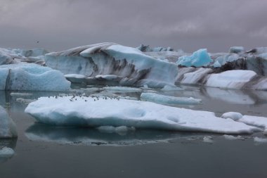 İzlanda 'da buzul gölü. İzlanda turistik merkezleri. Kutup buzulu. Okyanus buzulu