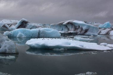 İzlanda 'da buzul gölü. İzlanda turistik merkezleri. Kutup buzulu. Okyanus buzulu