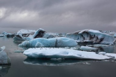 İzlanda 'da buzul gölü. İzlanda turistik merkezleri. Kutup buzulu. Okyanus buzulu