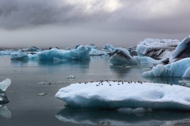 İzlanda 'da buzul gölü. İzlanda turistik merkezleri. Kutup buzulu. Okyanus buzulu