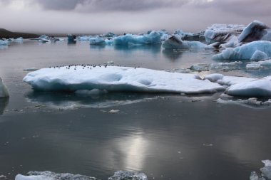 İzlanda 'da buzul gölü. İzlanda turistik merkezleri. Kutup buzulu. Okyanus buzulu