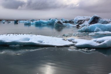 İzlanda 'da buzul gölü. İzlanda turistik merkezleri. Kutup buzulu. Okyanus buzulu