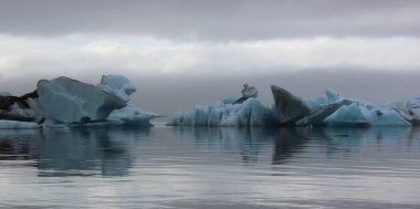 İzlanda 'da buzul gölü. İzlanda turistik merkezleri. Kutup buzulu. Okyanus buzulu