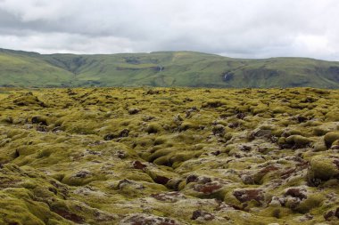 Suurland Manzarası, İzlanda. Gündüz görünümü  