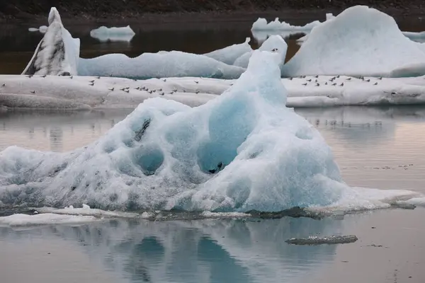 Laguna Lodowa Islandii Islandia Atrakcji Turystycznych Lodowiec Arktyczny Lodowiec Oceaniczny — Zdjęcie stockowe