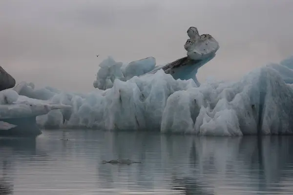 Laguna Glacial Islandia Islandia Atracciones Turísticas Glaciar Ártico Glaciar Del — Foto de Stock