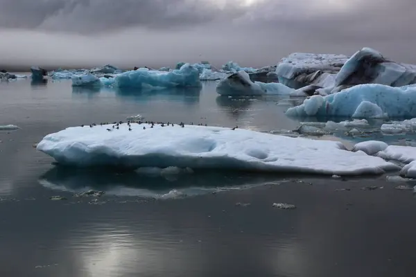 Ijslagune Ijsland Ijsland Toeristische Attracties Arctische Gletsjer Ijsgletsjer — Stockfoto