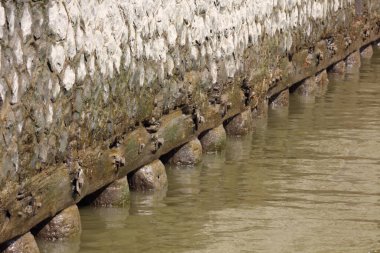 ALMANY, HAMBURG - 2017 AĞUSTOS, Hamburg Alman limanındaki kargo gemileri yükleme ve boşaltma için demirli konteyner terminali. 