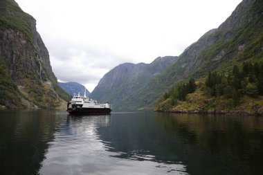 Nordfjord fiyort, dağlar, çiçek ve buzul Olden, Norveç, Norveç yatay