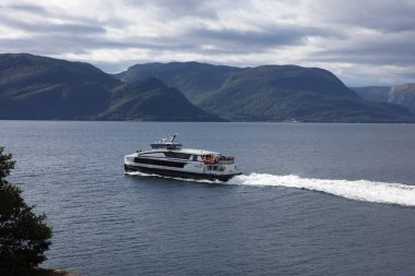 Norveç 'in Fresvik yakınlarındaki Sognefjorden manzarası 