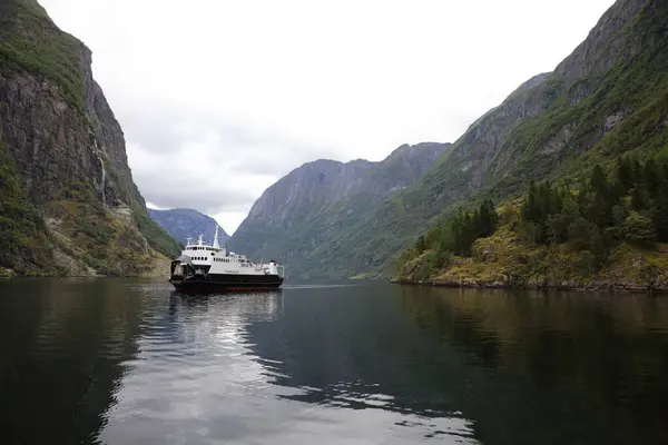 Paesaggio Norvegese Con Fiordo Del Nordfjord Montagne Fiori Ghiacciaio Olden — Foto Stock