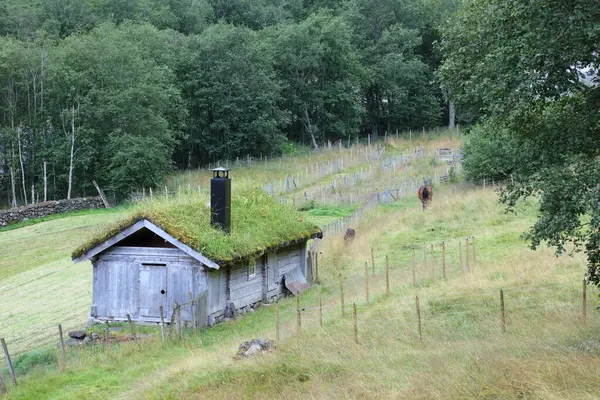Casa Vicina Fresvik Norveç Gündüz Görüşü Telifsiz Stok Fotoğraflar