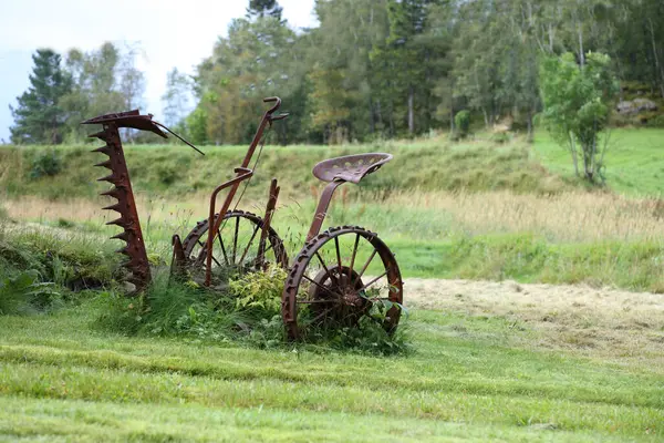 Yeşil Çayırdaki Eski Çim Biçme Makinesi Lavik Norveç Telifsiz Stok Imajlar