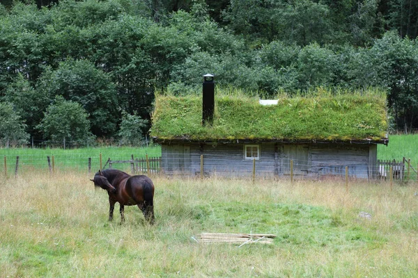 サント マイケリス キルシュ ハンブルク サント マイケリス教会ハンブルク — ストック写真