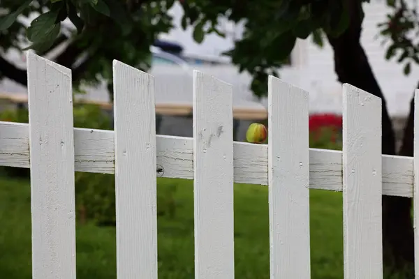 White Wooden Fence Apple Garden — Stock Photo, Image