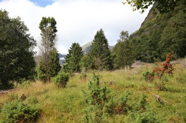 Norveç, Fresvik yakınlarındaki Manzaranın Gündüz Manzarası 