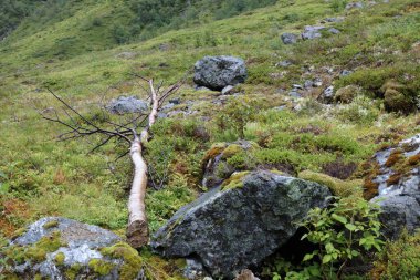Norveç 'in Fresvik yakınlarındaki Rock' ın gündüz görüntüsü  