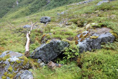 Norveç 'in Fresvik yakınlarındaki Rock' ın gündüz görüntüsü  