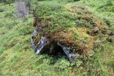 Norveç 'in Fresvik yakınlarındaki Rock' ın gündüz görüntüsü  