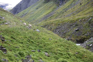 Norveç, Fresvik yakınlarındaki Manzaranın Gündüz Manzarası 