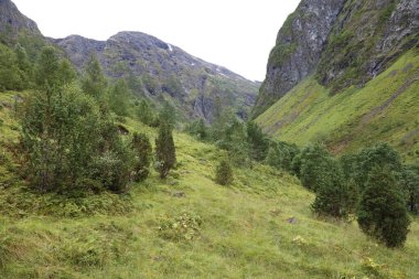 Norveç, Fresvik yakınlarındaki Manzaranın Gündüz Manzarası 