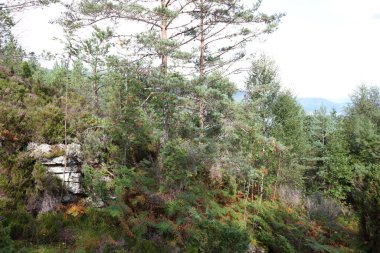 Nordrevik und Vadheim, Norveç yakınlarındaki Rock 'ın gündüz görüntüsü 