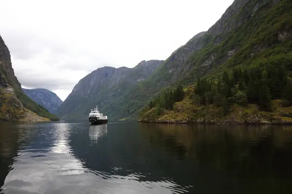 Νορβηγική Τοπίου Nordfjord Φιόρδ Βουνά Λουλούδια Και Παγετώνα Olden Νορβηγία — Φωτογραφία Αρχείου