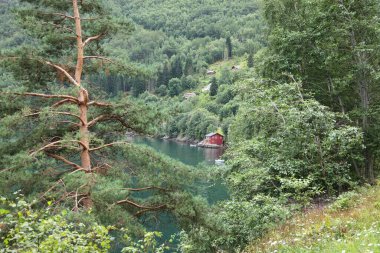 Norveç 'in Fresvik yakınlarındaki Sognefjorden manzarası 
