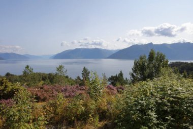 Norveç 'in Fresvik yakınlarındaki Sognefjorden manzarası 
