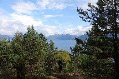 Norveç 'in Fresvik yakınlarındaki Sognefjorden manzarası 