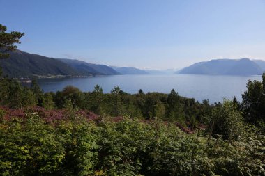 Norveç 'in Fresvik yakınlarındaki Sognefjorden manzarası 